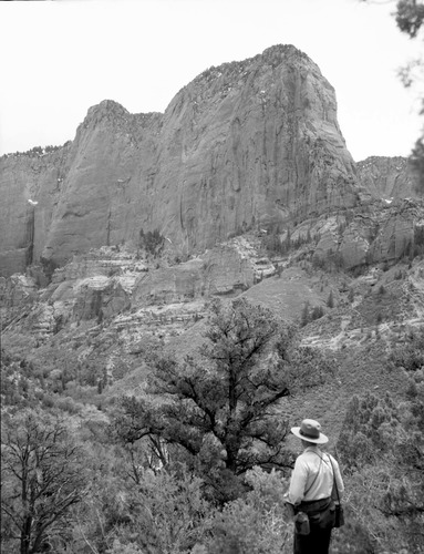 Beatty point in Kolob section. From near three forks of Taylor Creek