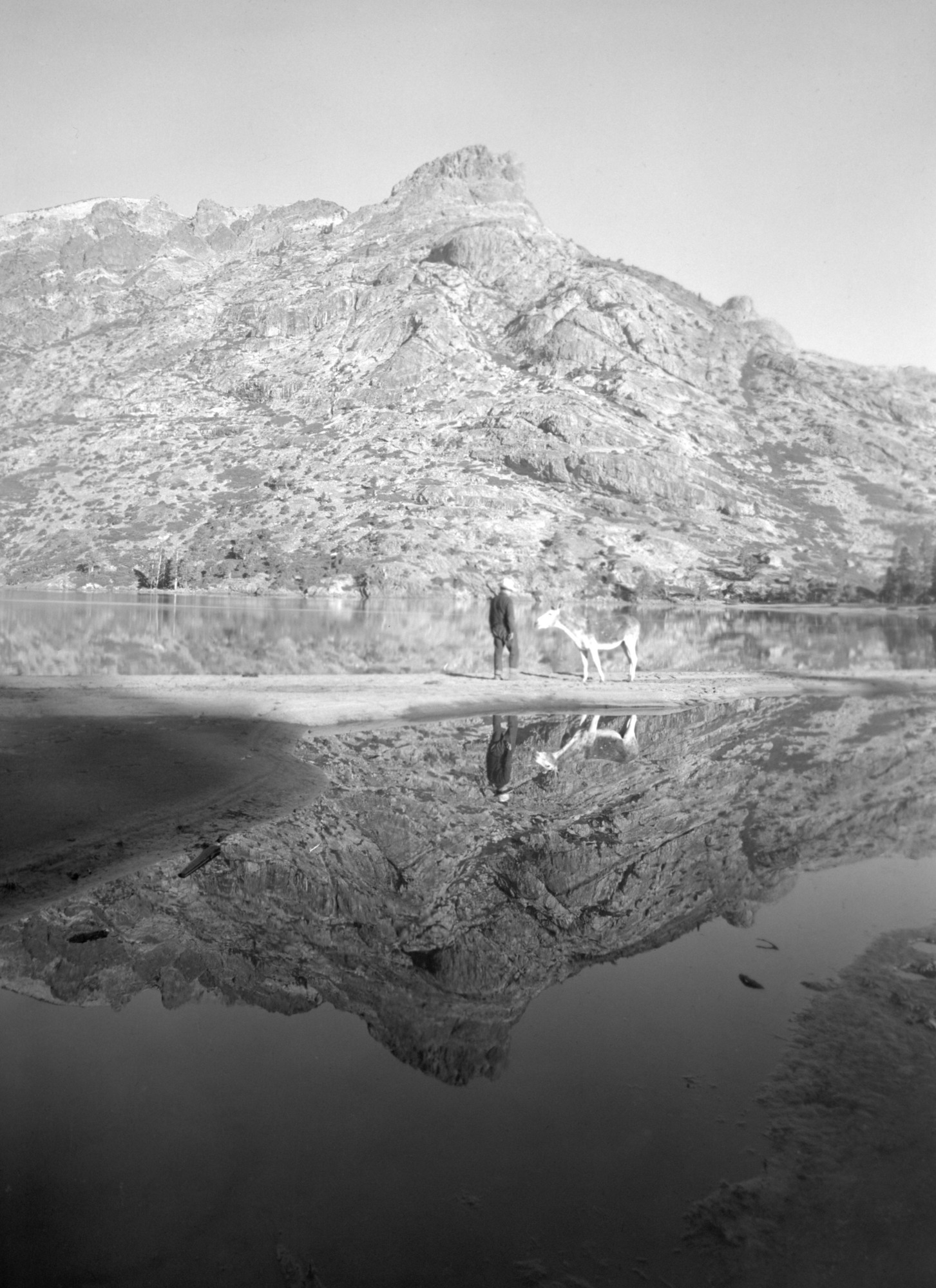 Man and burro at Benson Lake, looking west
