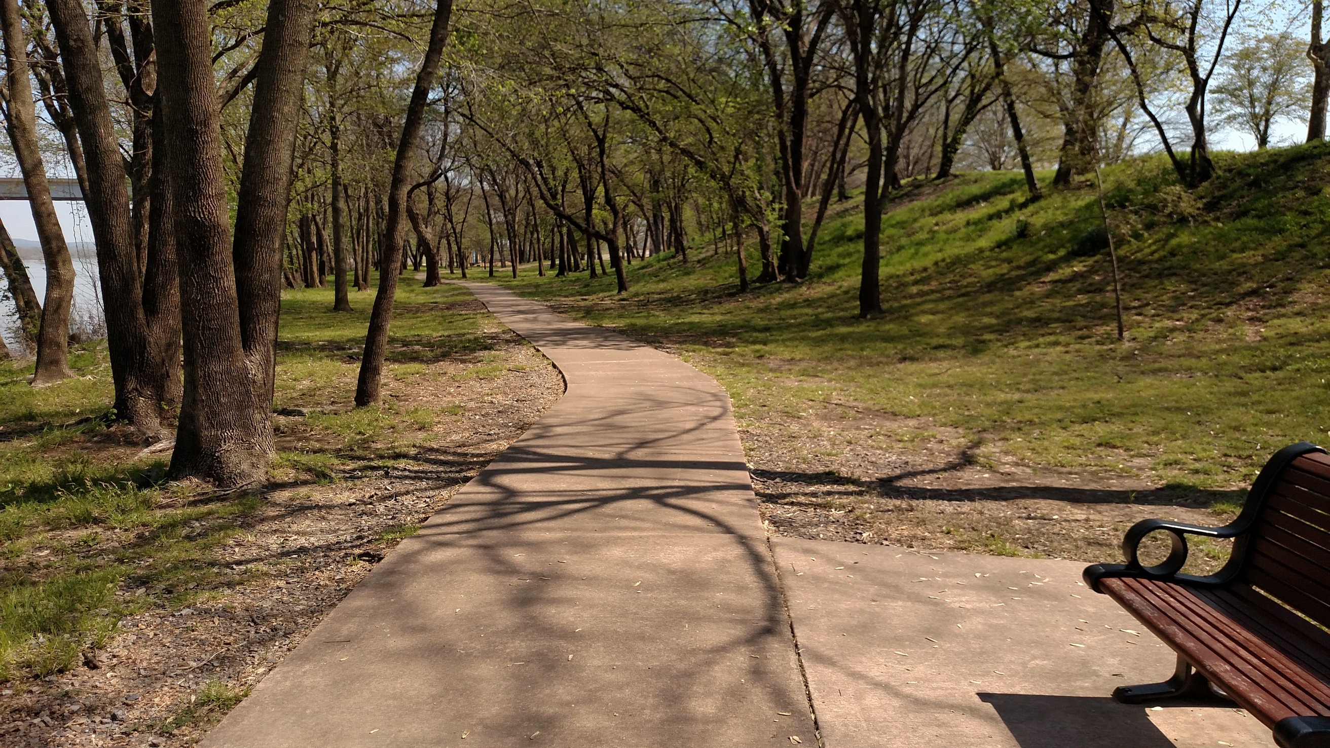 A bench on a path next to a body of water.
