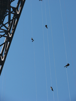 Four people rappell from the bridge