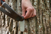 A hand holds a nail that has a tag with numbers on it, another hand hammers in the nail