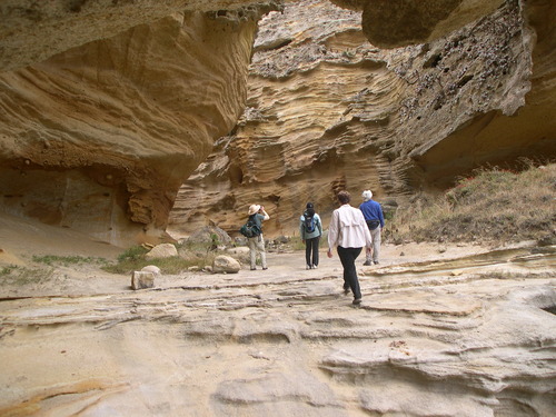 sri-travel-visitors-kdo - 06