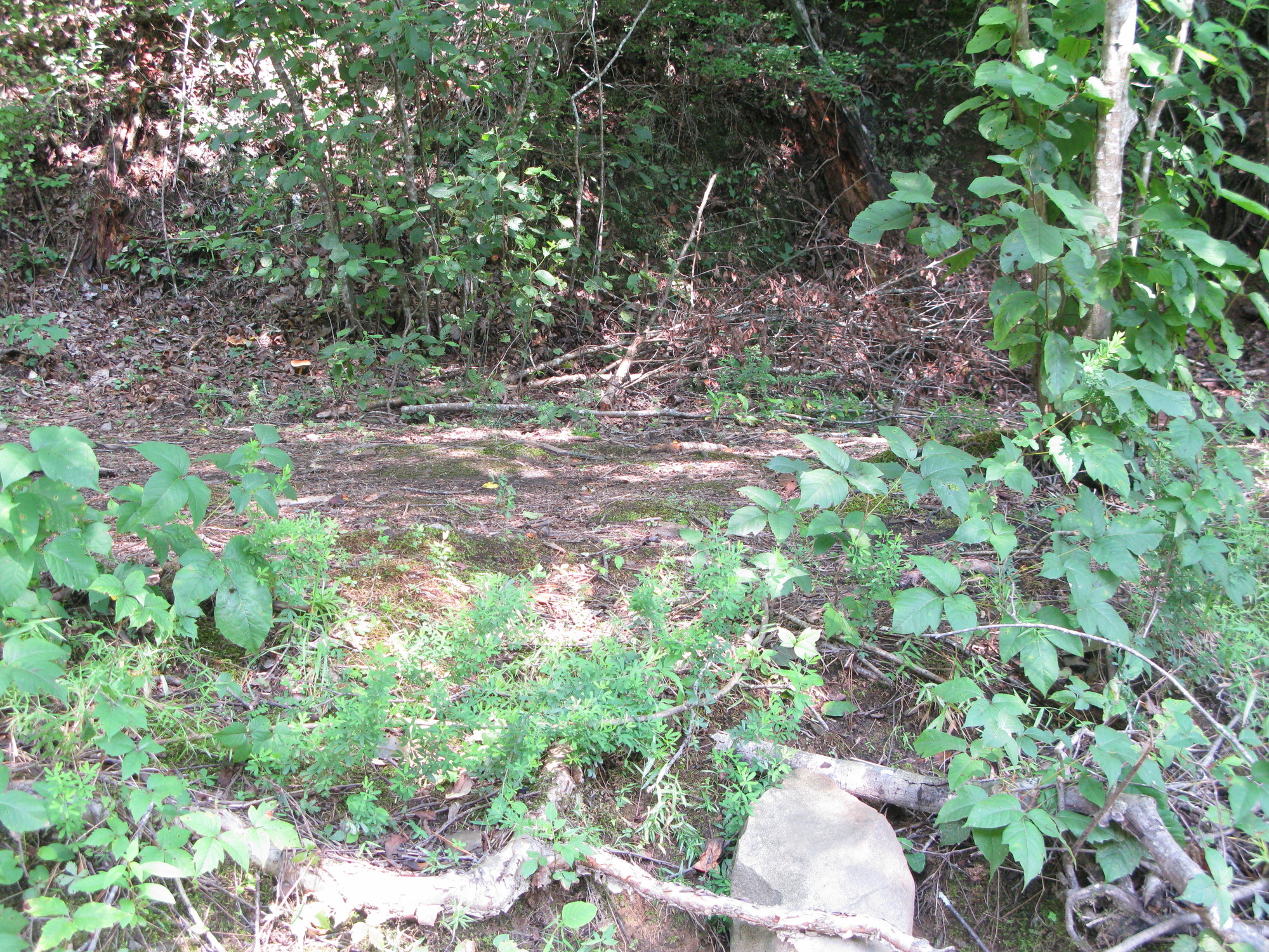 GRSM Accuracy Assessment. Plot Code: GRSM_AA_0179_3