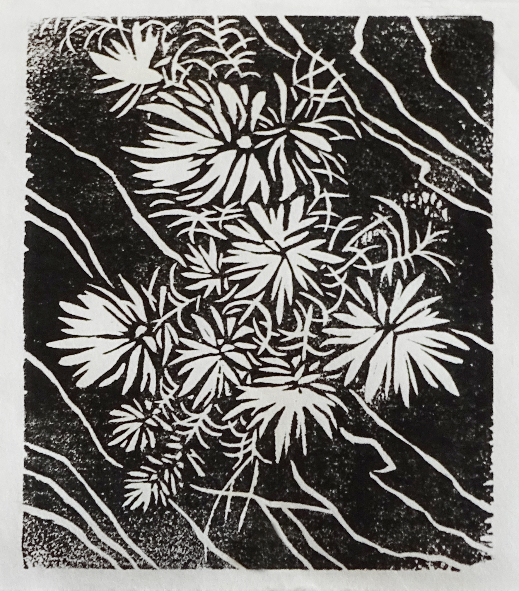 Bushy white flowers and thin white stems are printed in contrast to a black background. Small stripes of white also run diagonally across the print.
