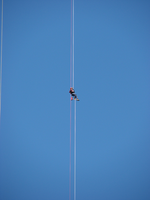 a rappeller hangs from a rope