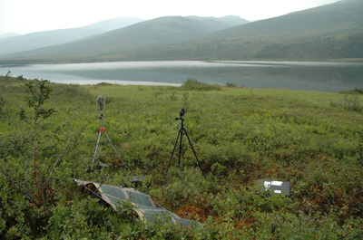 Scientific equipment in wilderness