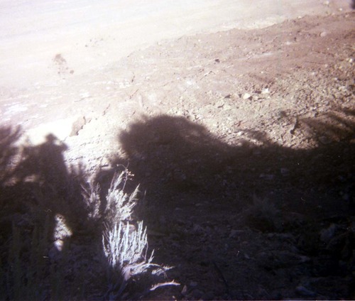 Color Photos of rock slides in Kolob Canyon.