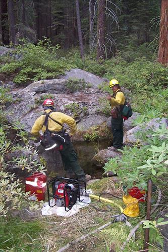 Sunset prescribed burn in Grant Grove, Sequoia and Kings Canyon National Parks, fall 2002