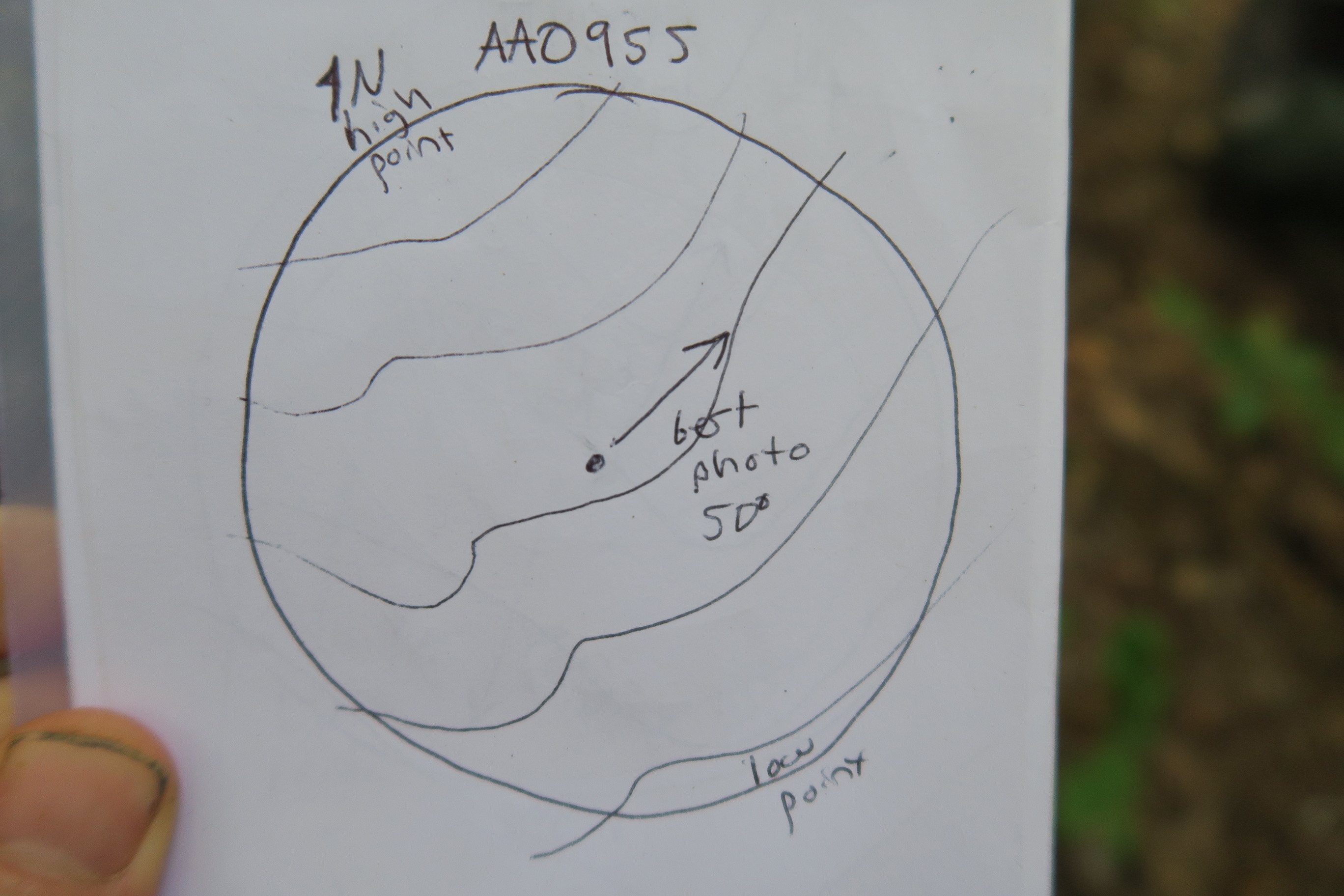 GRSM Accuracy Assessment. Plot Code: GRSM_AA_0955_7