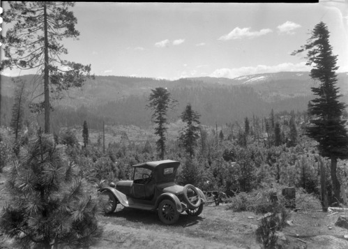 Yosemite Lumber Co. South side cut over lands looking east across cut over areas showing reproduction & Wawona Rd. screened in distance.