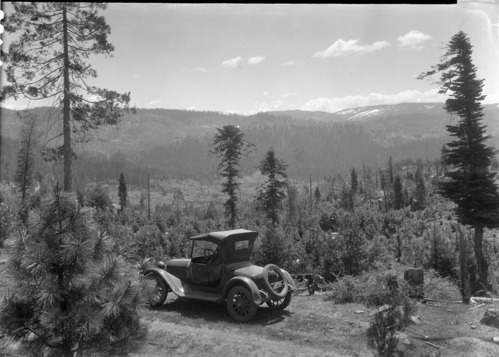 Yosemite Lumber Co. South side cut over lands looking east across cut over areas showing reproduction & Wawona Rd. screened in distance.
