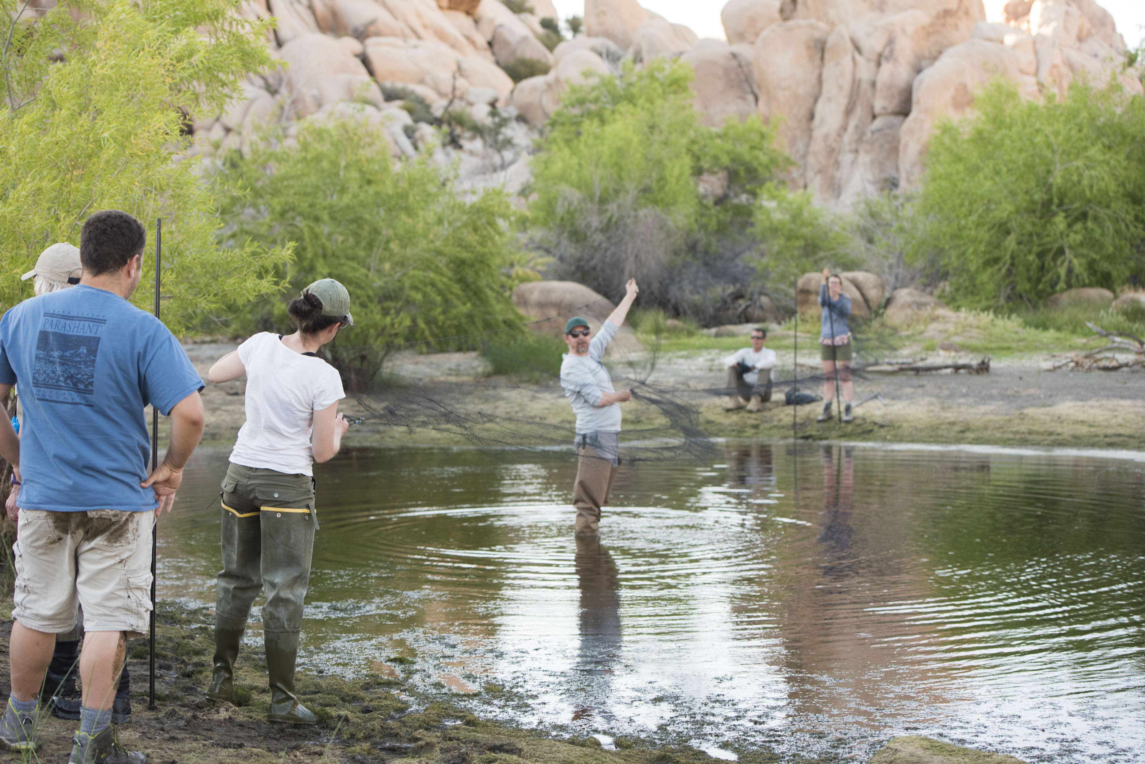 Researchers setting up a thin net. 