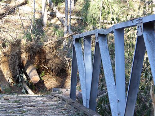 December 24, 2009 Wind/Rain Storm Damage
