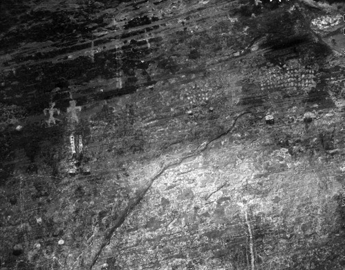 Petroglyphs in Petroglyph Canyon interpretive area