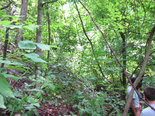 GRSM Accuracy Assessment. Plot Code: GRSM_AA_0843_6