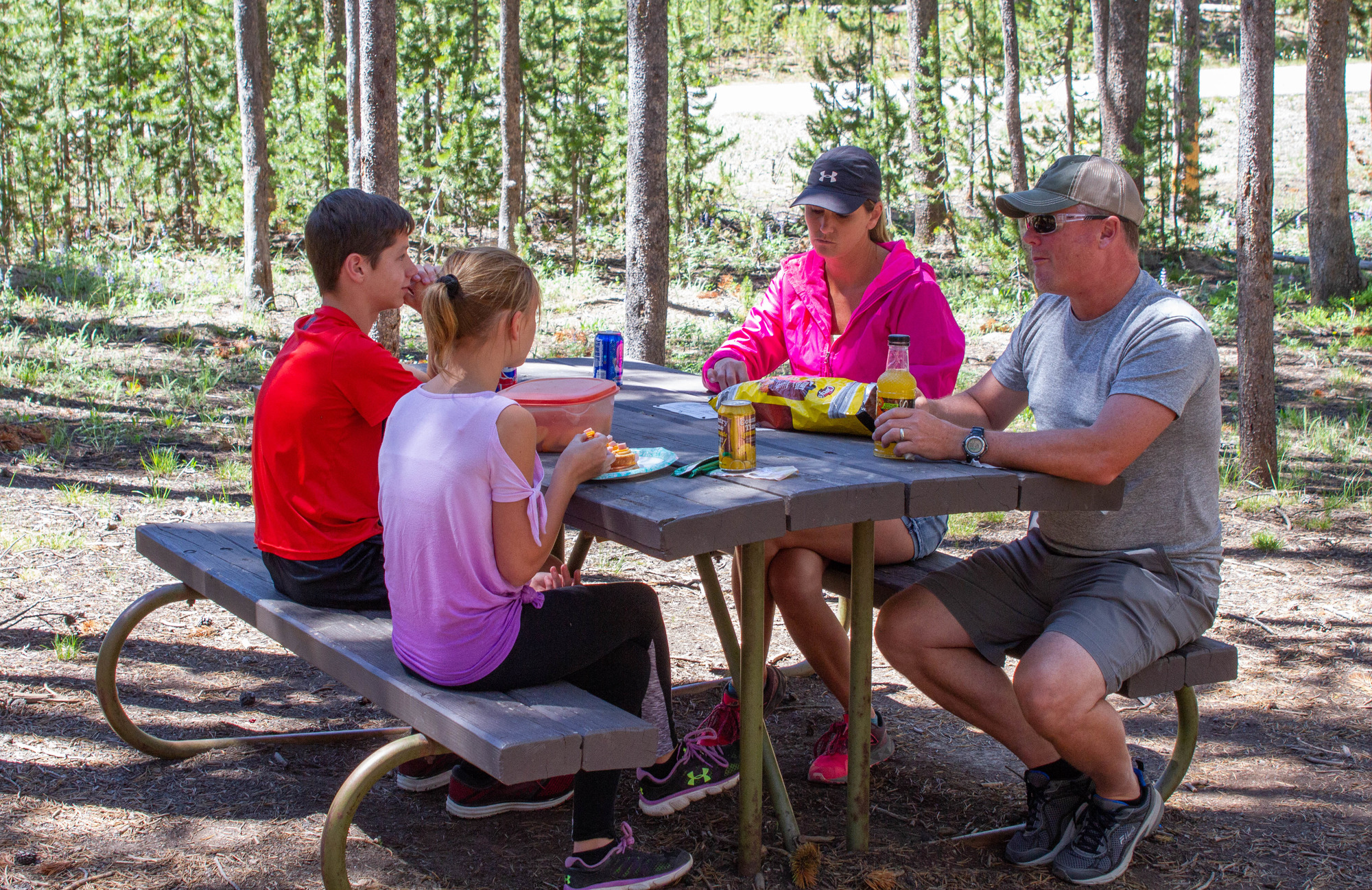 A family of four sit at a picnic table in a forest of lodgepole pine trees.