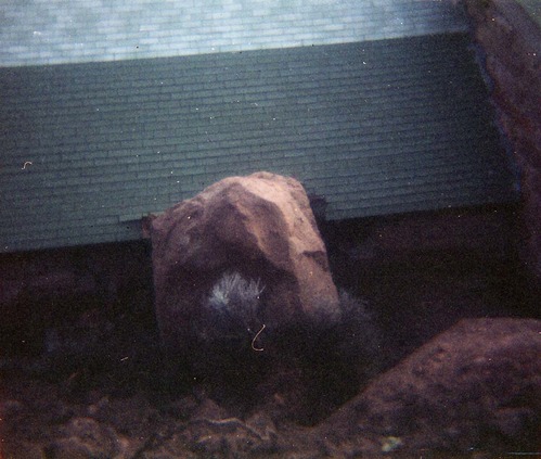 Color photo of rock slide in maintenance yard.