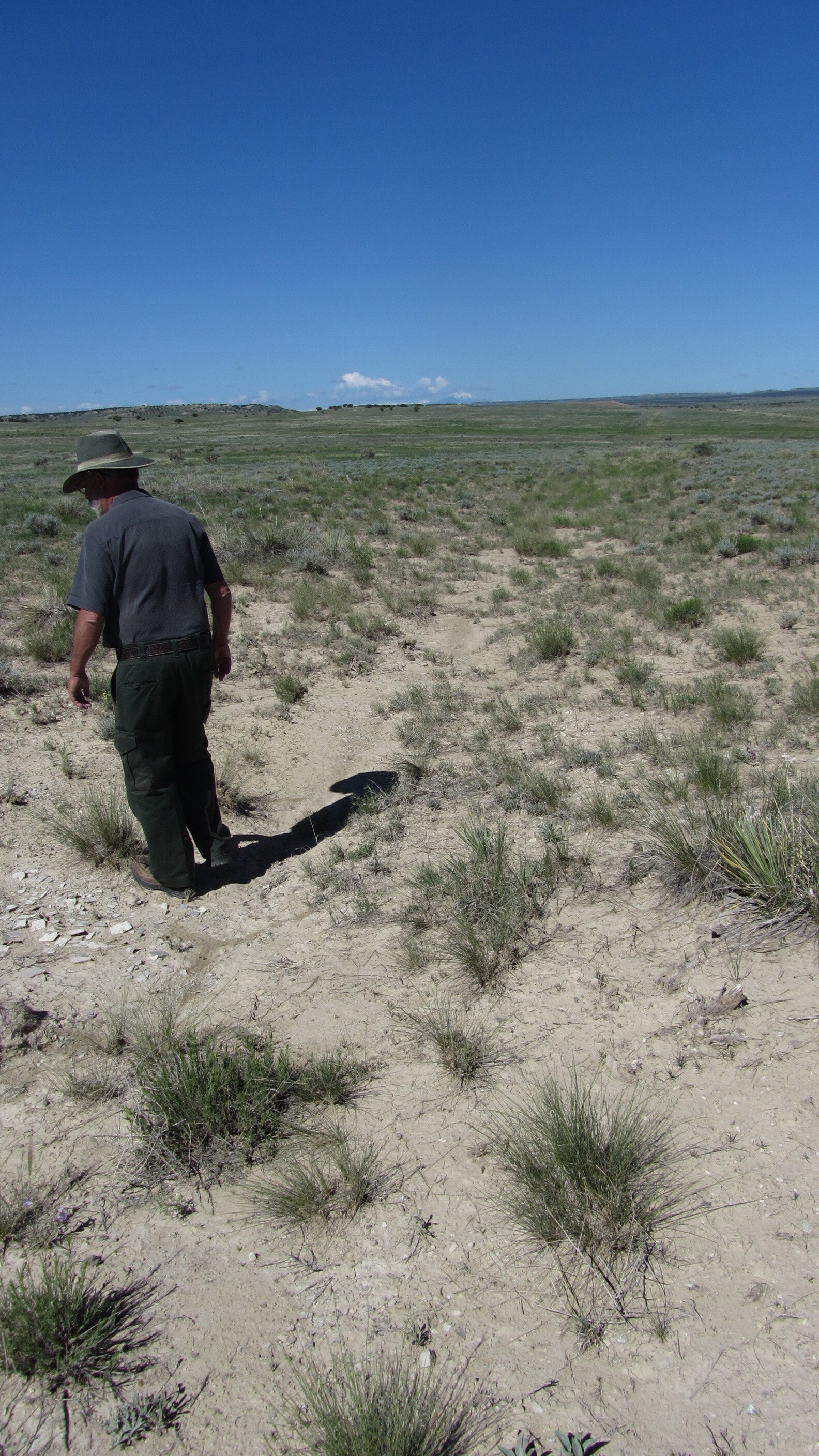 A man walking in a desert.