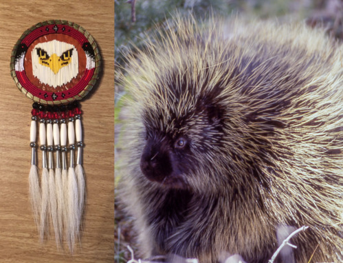 Dual image with handmade medallion decorated with an eagle's face on the left and a photograph of a porcupine on the right. 