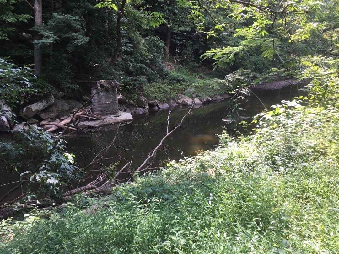 A small stream or creek flows past green leafy trees and bushes