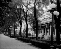 An orderly row of elm trees, lamp posts, land ow hedges lines the sidewalk along the bathhouses. 