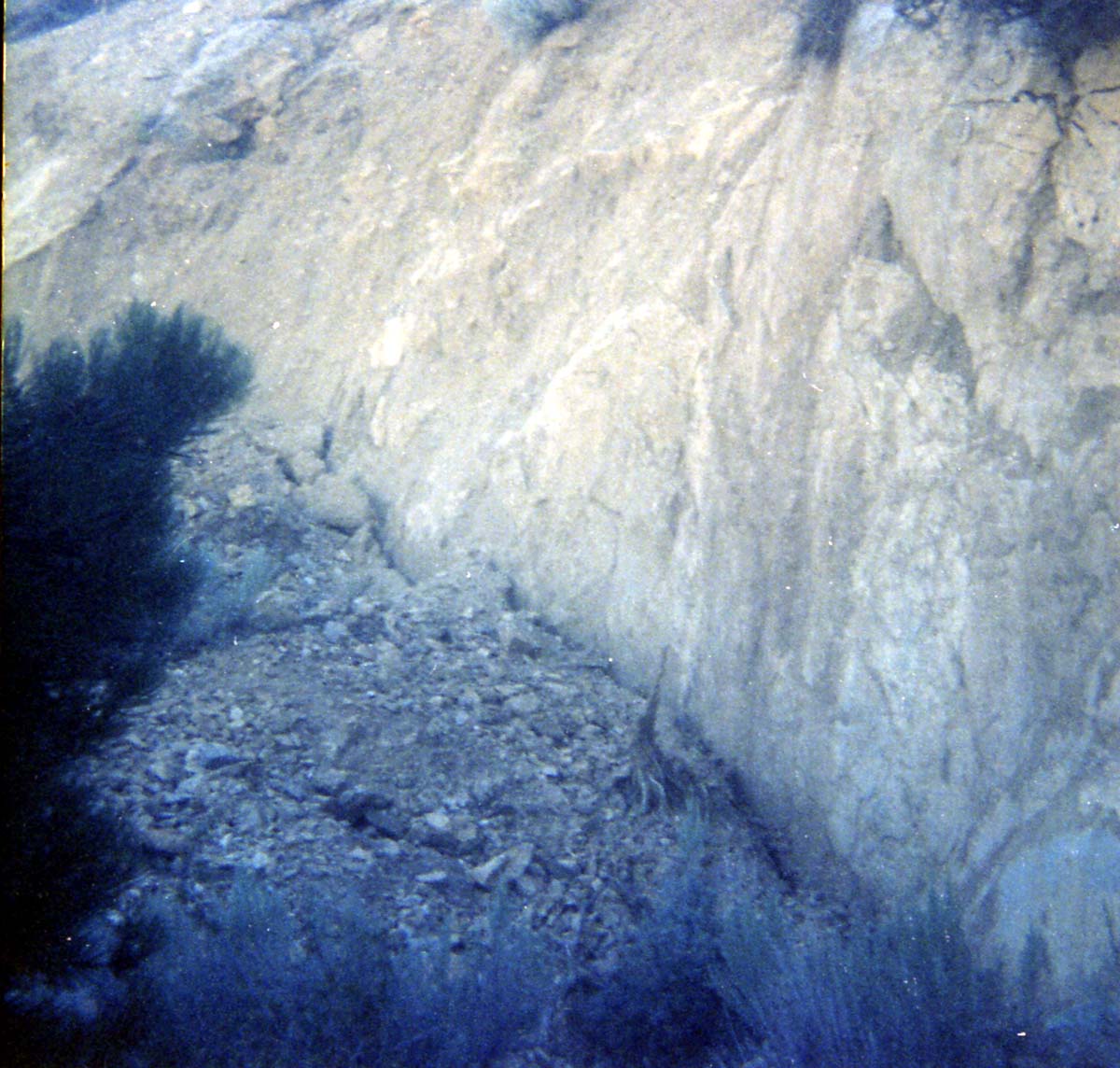 Color Photos of rock slides in Kolob Canyon.