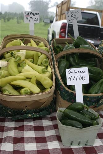 Countryside Farmers' Market produce