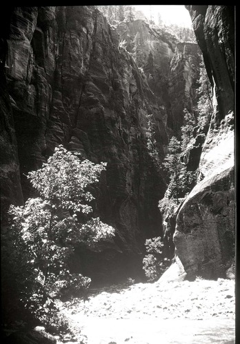 Zion Narrows.