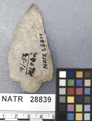 NATR   28839 -- Ledbetter Cluster projectile point