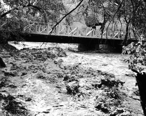 High water at bridge near Watchman residence area. Great Flood of September 1961 that claimed 5 lives in the Narrows. Note person and vehicle on the bridge.