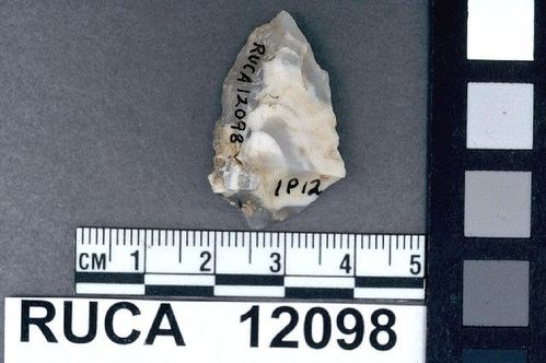 RUCA   12098 -- Point, Projectile