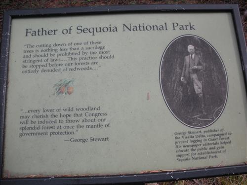 Giant Forest--Unpaved Trails--waysides--Sequoia and Kings Canyon National Park--12/2009