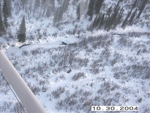 4 Gates of the Arctic National Park and Preserve Koyukuk Moose Survey 2004