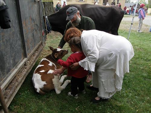 Lindenwald Harvest Day Celebration at Martin Van Buren National Historic Site in September 2009 part II