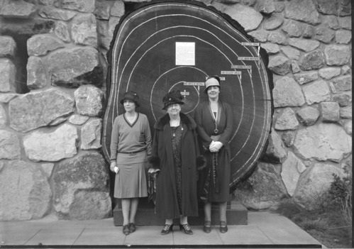 L to R: Miss Florence Walker, Mrs. R. J. Burdette, Hotel Maryland (Pasadena) & Miss Miriam Parkhurst. Friends of Stephen Mather visiting Yosemite.