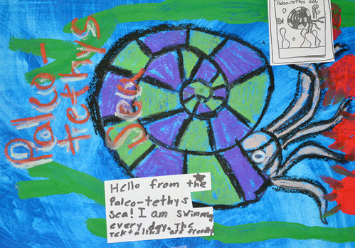 A color drawing of a prehistoric mollusk on a postcard. 