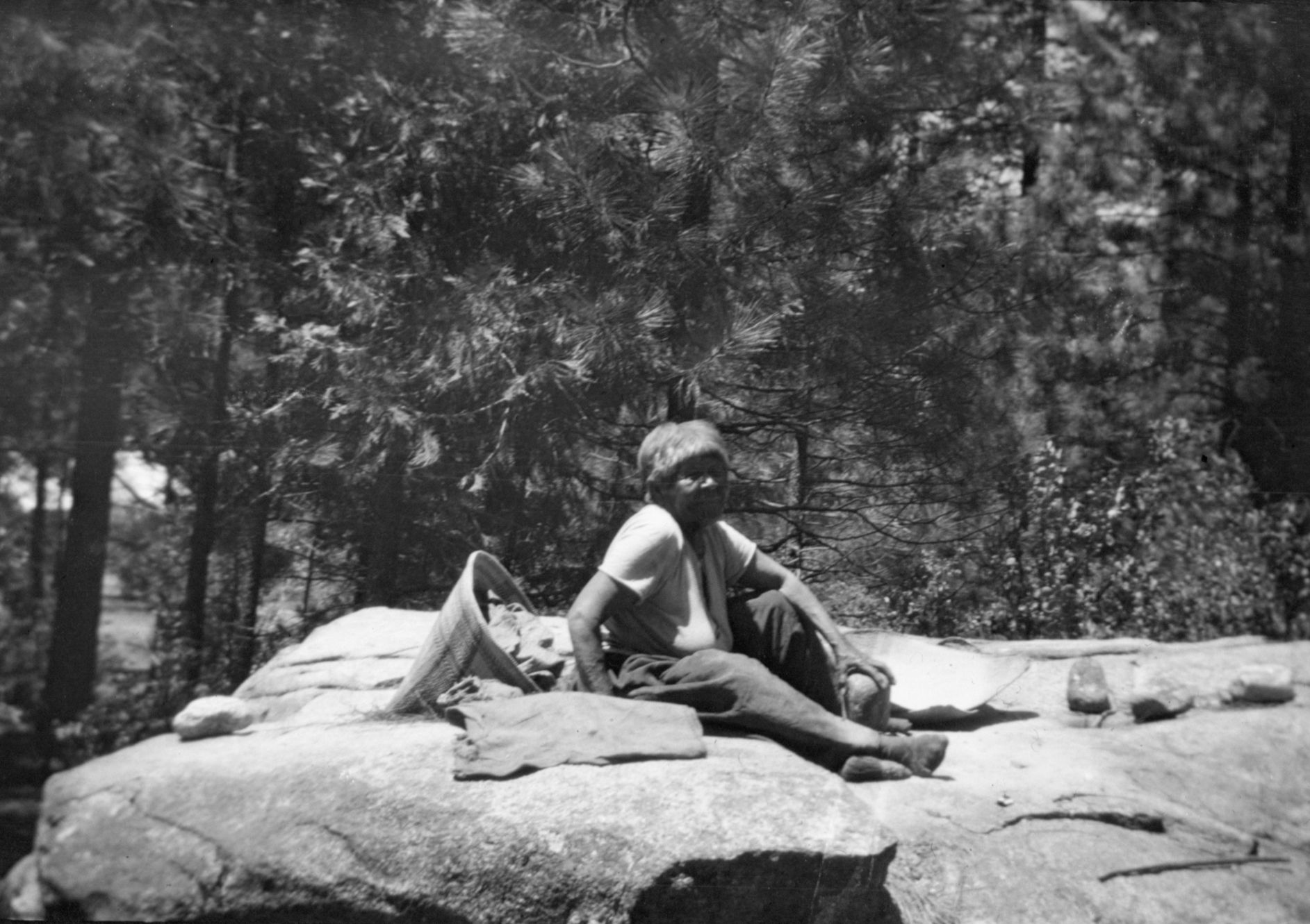 Gift of Wm. M. Sell Jr. Copy of YNP Collections #17,300.