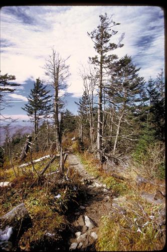 Views at Great Smoky Mountains National Park, Tennessee and North Carolina