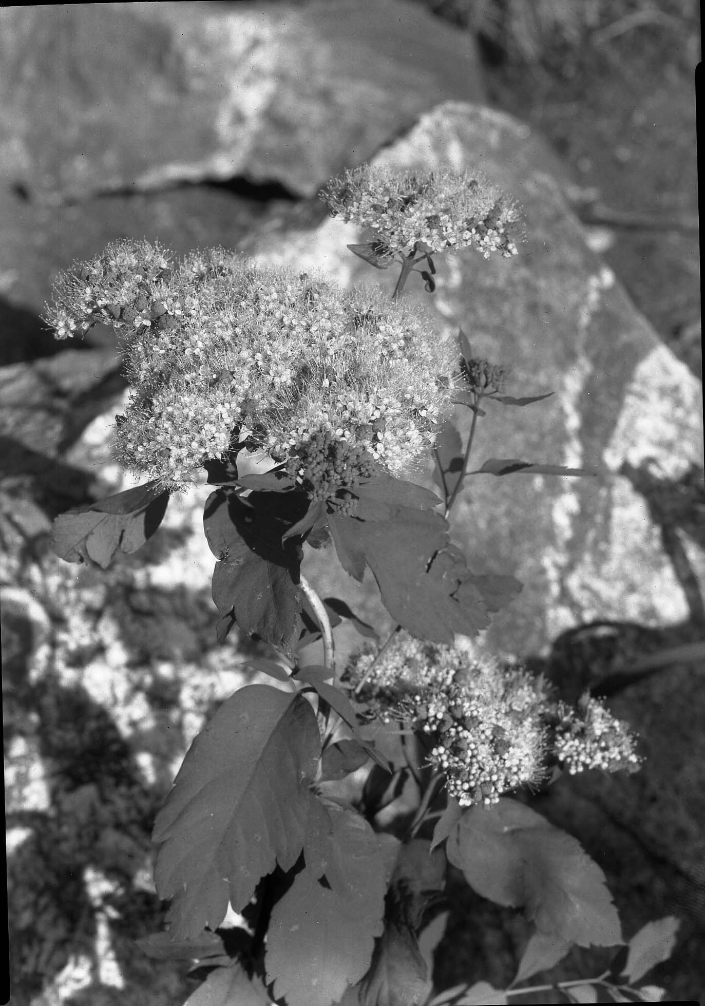 Grand Teton National Park