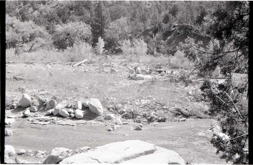 BW photo of the 1937 grazing study 35MM.
