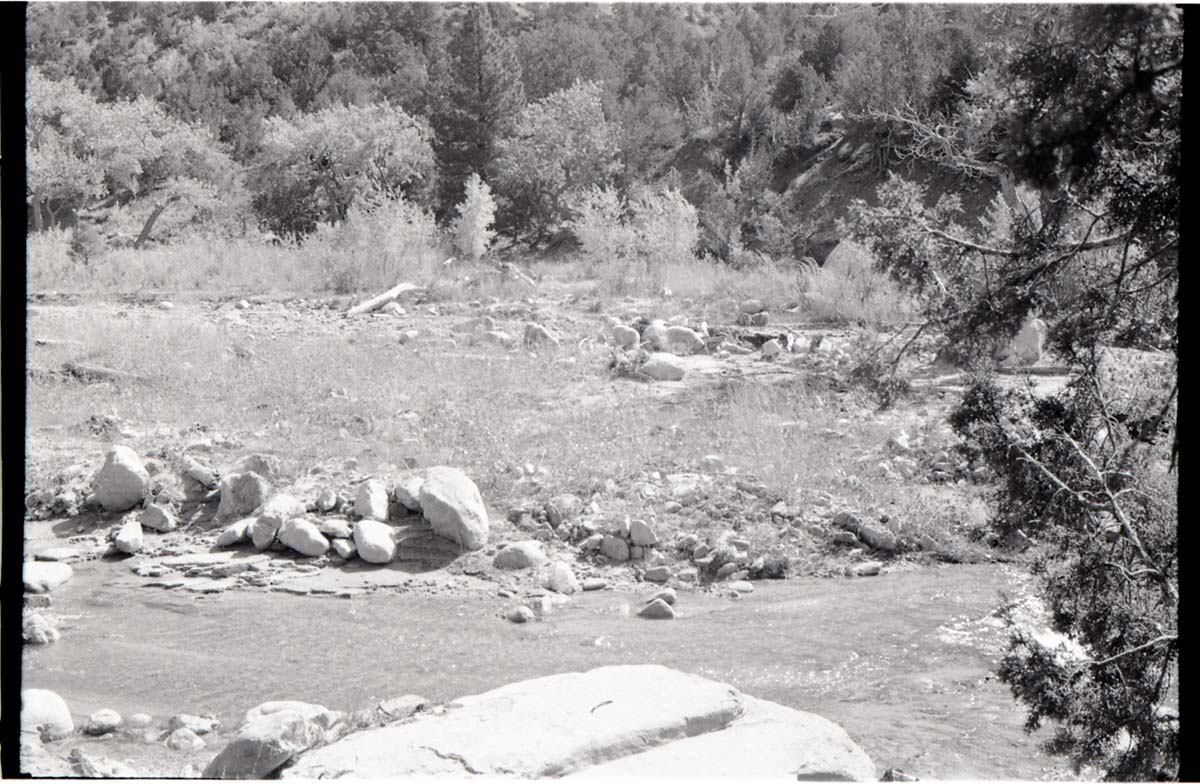 BW photo of the 1937 grazing study 35MM.