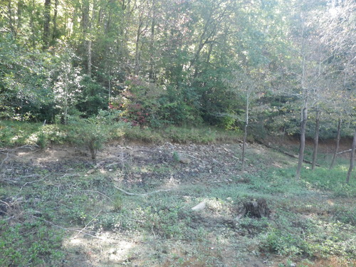 GRSM Accuracy Assessment. Plot Code: GRSM_AA_0168_6