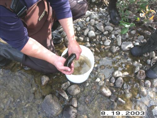 Charley River Water Quality Testing, Yukon-Charley Rivers, 2003 2