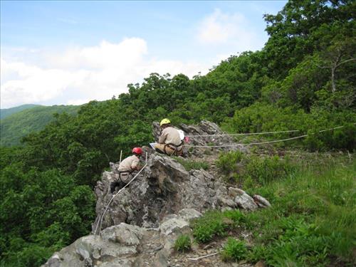 SHEN staff sampling high elevation rare plants on rock outcrops in July 2014