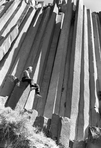 Closeup with Bob Brown for scale.