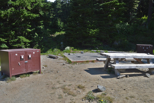 An open campsite with brown food storage container on the left, raised tent pad in the middle, and wooden picnic table on the right. The site is surrounded by a forest