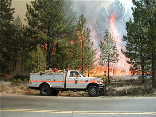 Prescribed fire for fuels reduction, 2002, Zion National Park