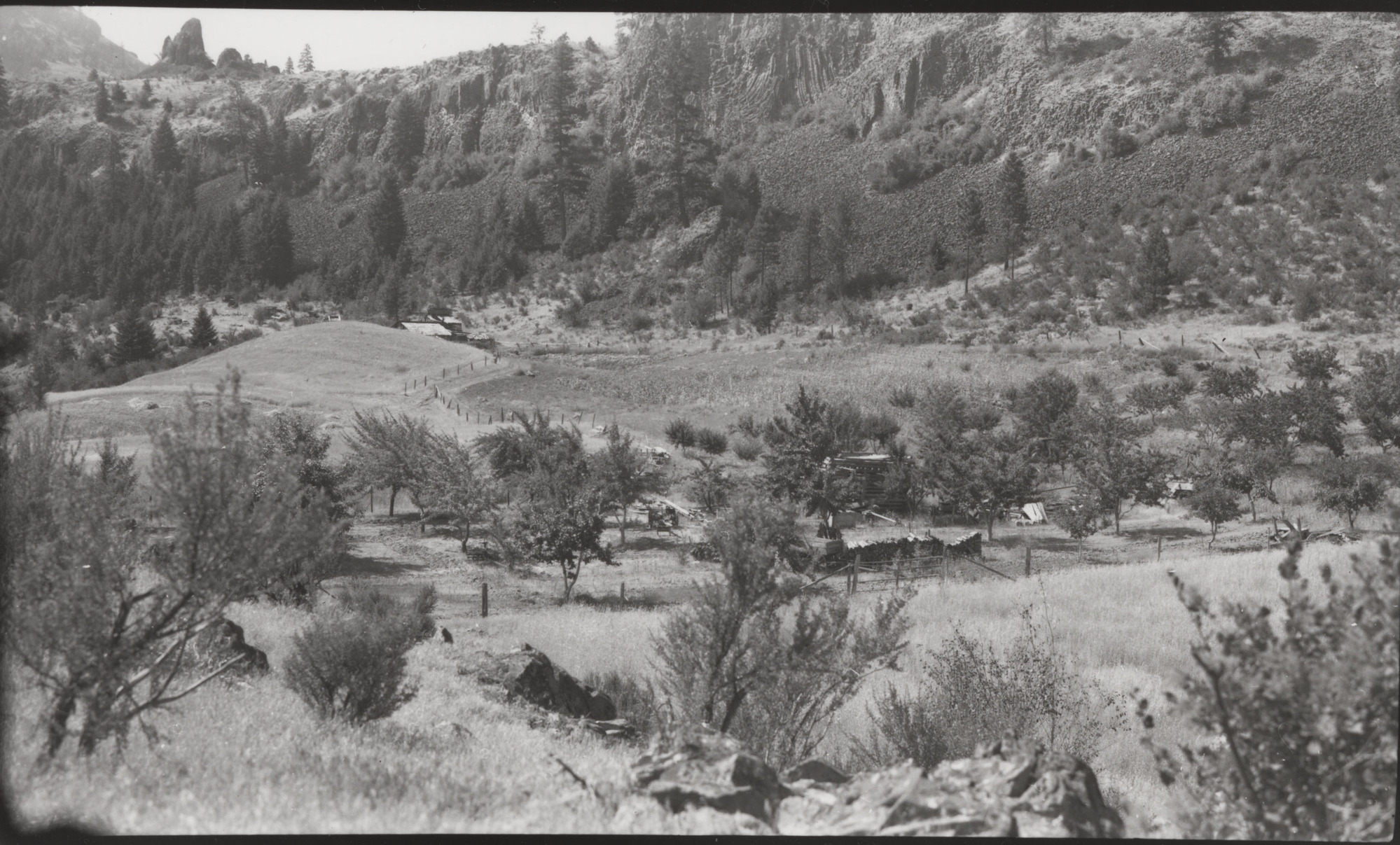 Black and white photograph of trees, large cleared areas, fences, and several partially hidden buildings under steep rocky cliffs. 