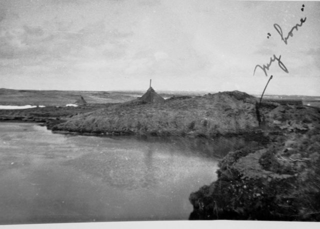 Amchitka - rocky island, cold water