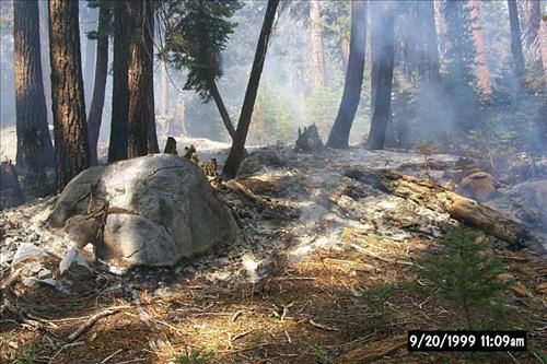 Dark Wildland Fire, July-September 1999, Yosemite National Park